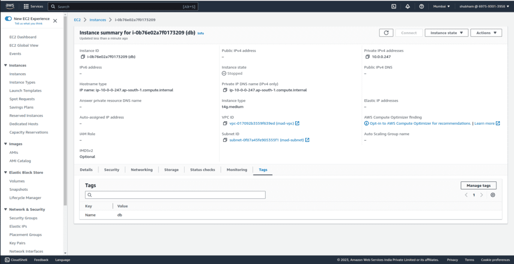 Instance Tags-1