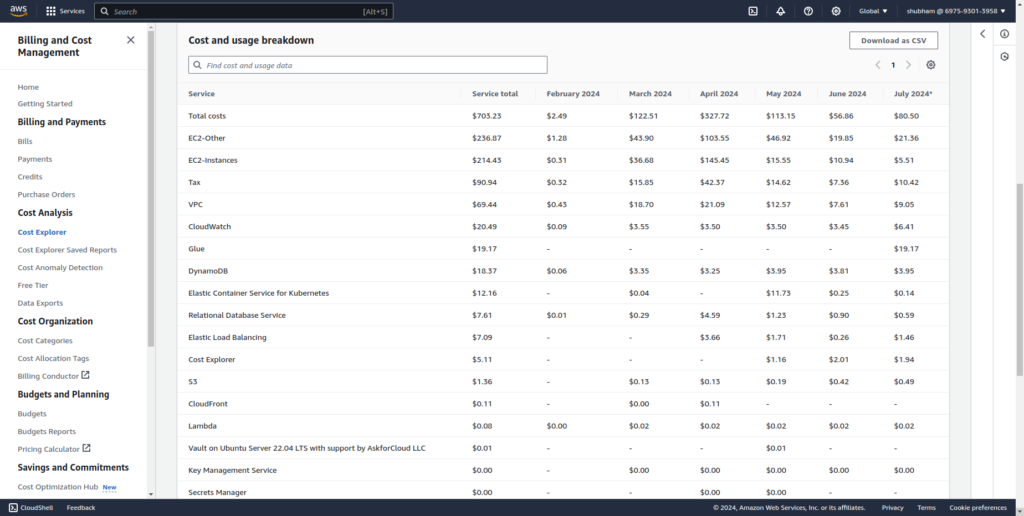 AWS cost usage